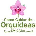 Como cuidar de orquídeas em casa