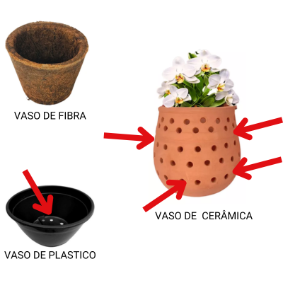 Tipos de vasos para orquídeas